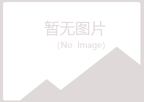 龙岩新罗冰夏媒体有限公司